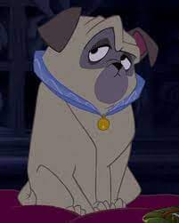 Pocahantas pug